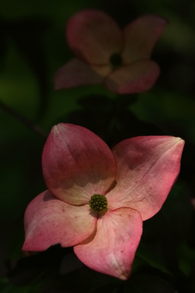 2011 05 28 IMG 32831